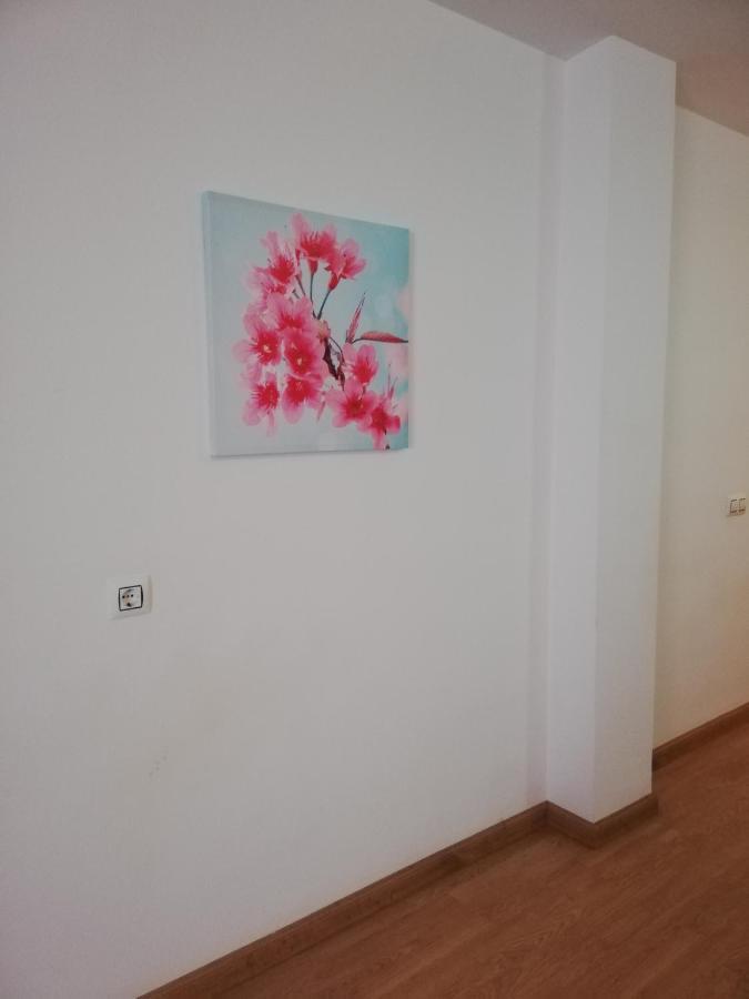 Apartamento En Primera Linea De Vera Playa Naturista! Exterior photo